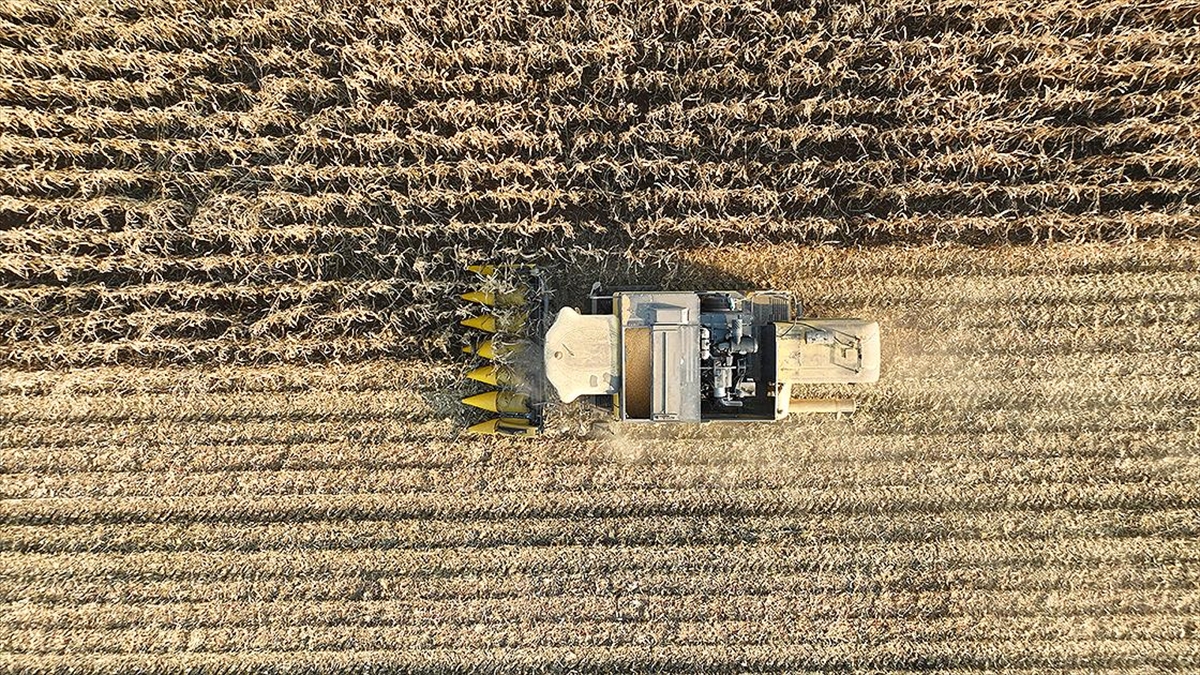 Tüik Genel Tarım Sayımına Başladı