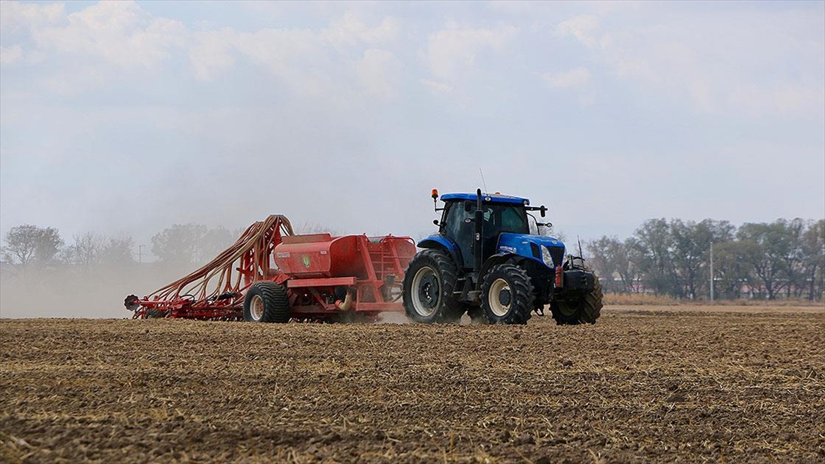 Tarımda Enerji Verimliliğini Artırmak İçin 2030'a Kadar 600 Milyon Dolar Yatırım Yapılacak