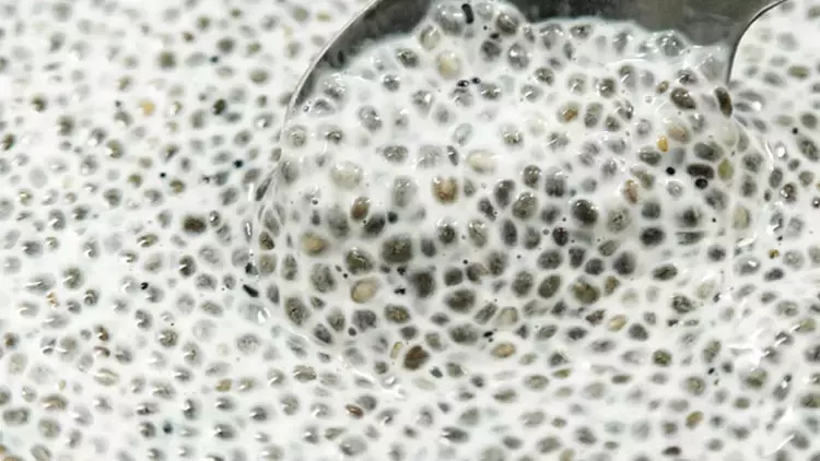 Yoğurdun içine koyup kaşık kaşık tüketin! Yiyenler kolesterol nedir bilmiyor, bağırsakları motor gibi çalıştırıyor