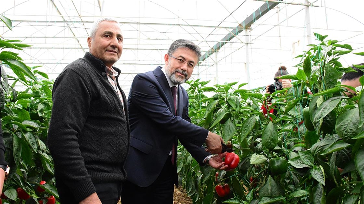 Tarım Ve Orman Bakanı Yumaklı: Ülkemizin Tohum Açısından Hiçbir Sıkıntısı Yok