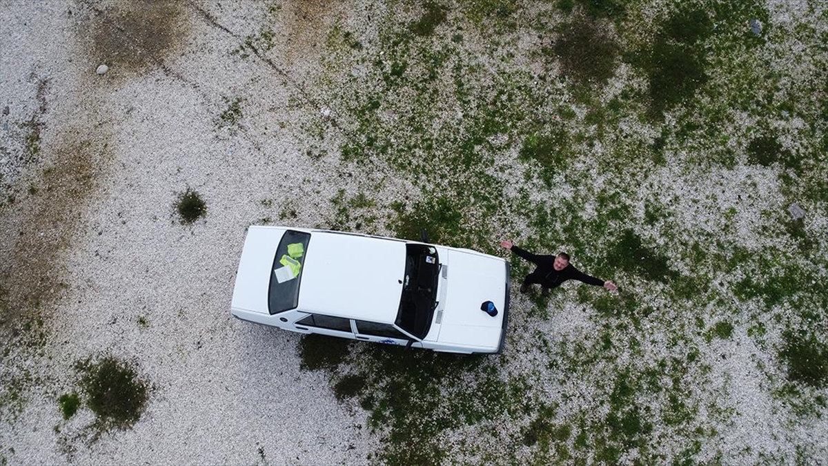 Alman Matthias'ın "şahin" Aşkı Görenleri Gülümsetiyor