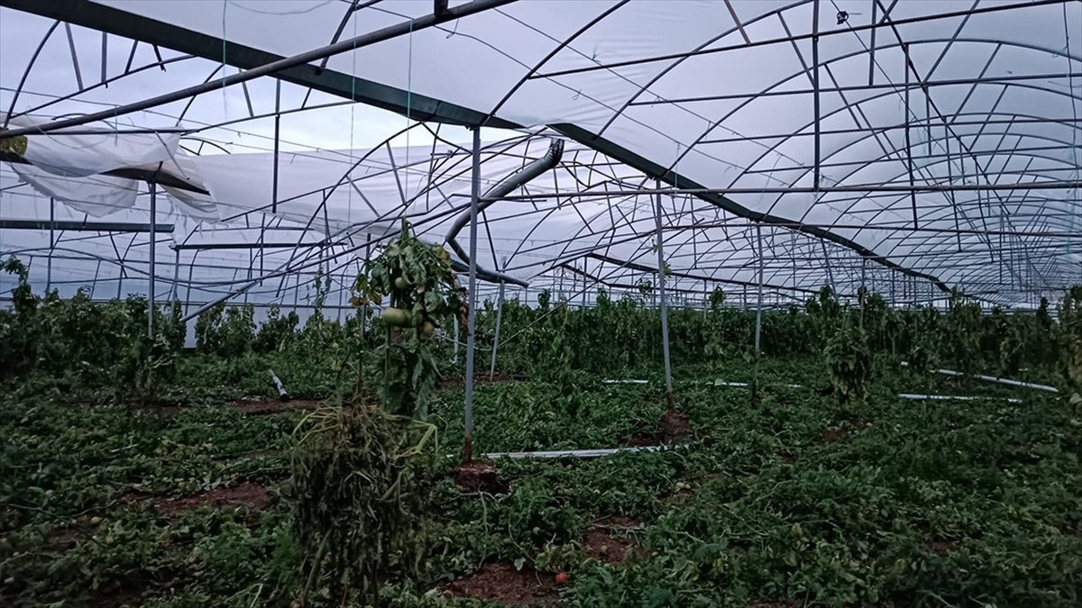 Antalya'da Hortum Seralara Zarar Verdi