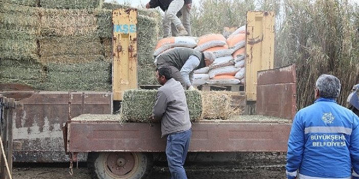 Çerçioğlu'ndan zor durumdaki üreticiye yem ve yonca desteği