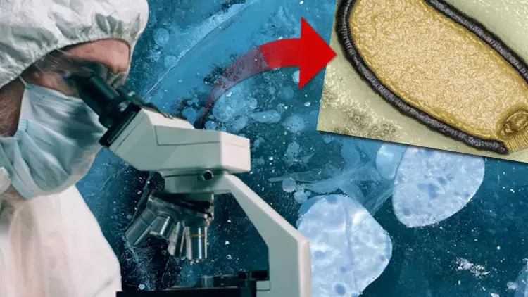 Şimdi de zombi virüsü! Bilim insanları uyardı: Somut bir tehdit, bağışıklık sistemimizin hiç görmediği virüsler...