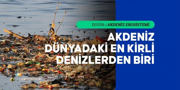 Akdeniz'deki Plastik Kirliliğinin Boyutu Alarm Veriyor