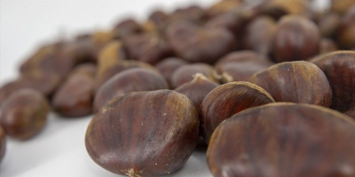 Kestane İthalatı Gözetim Uygulaması Kapsamına Alındı