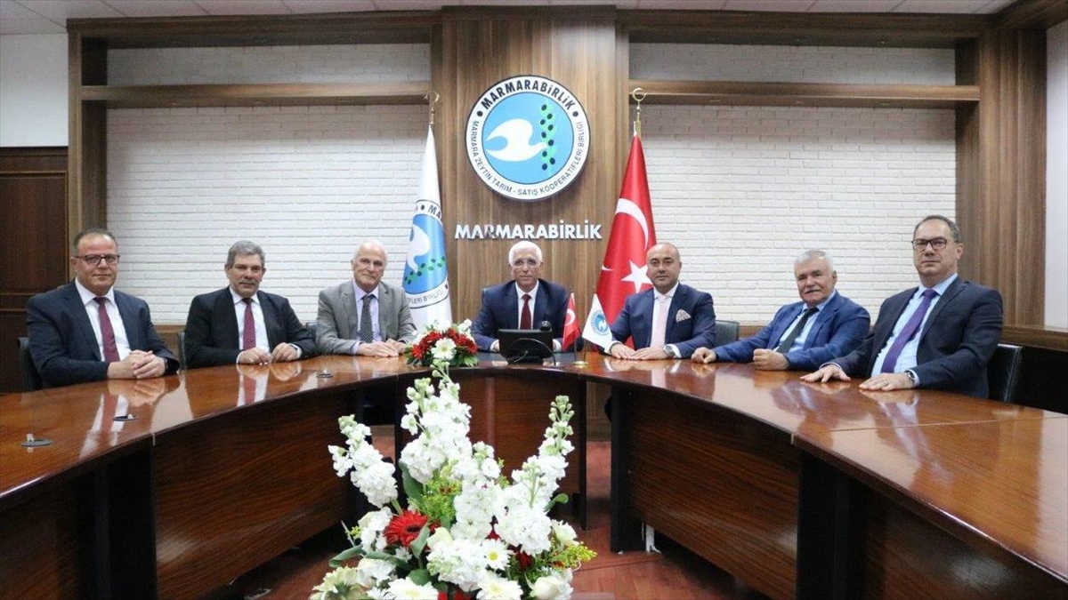 Marmarabirlik Ortaklarına Yarın 650 Milyon Lira Ödeyecek