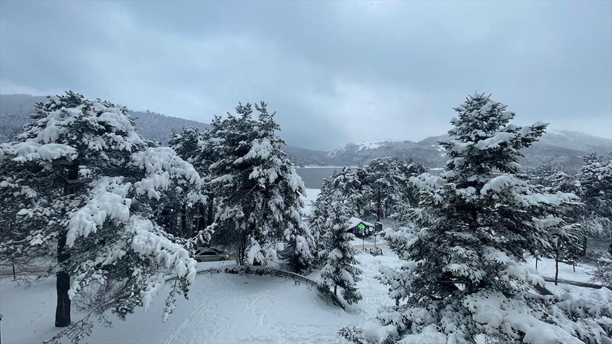 Bolu Dağı Ve Abant Gölü Milli Parkı'nda Kar Yağışı
