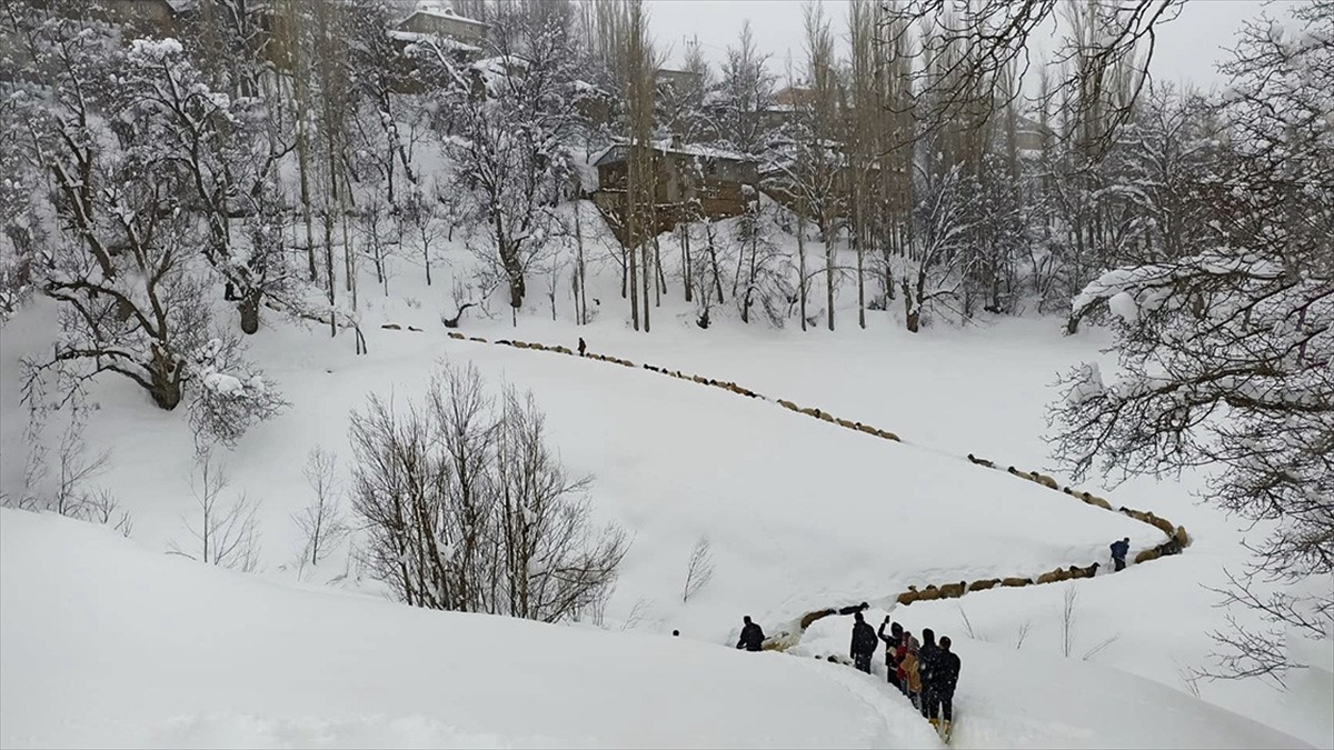 Küçükbaş Hayvan Sürüsünün Kar Örtüsü Arasındaki Yolculuğu Görüntülendi