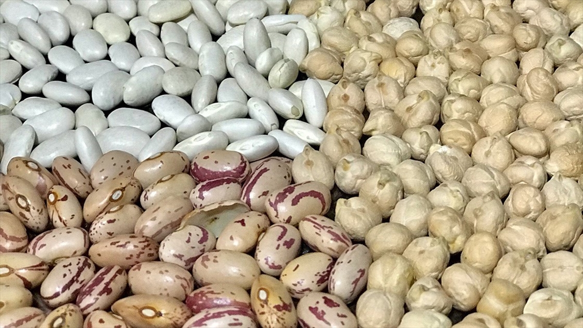 Hububat, Bakliyat Ve Yağlı Tohumda Ege'den 1,2 Milyar Dolar İhracat Hedefi