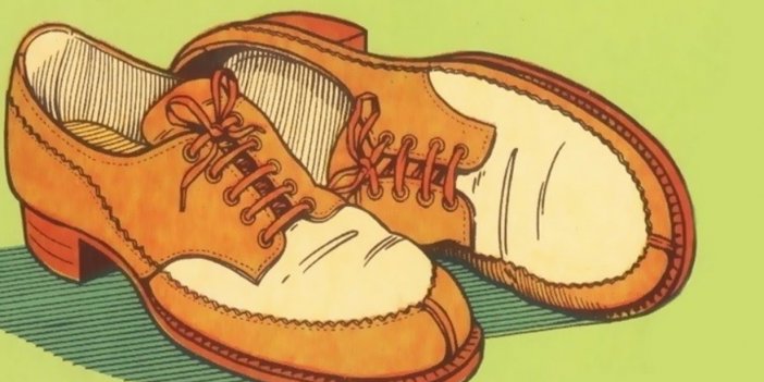 Ayakkabı resmindeki mantık hatasını yalnızca dâhiler 10 saniyede buluyor