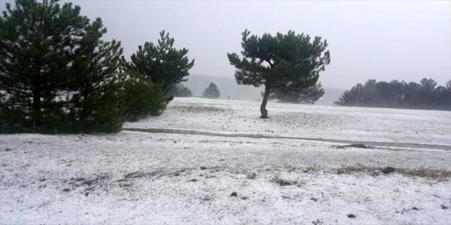 Kastamonu'da Etkili Olan Dolu Nedeniyle Bazı Tarım Arazileri Zarar Gördü