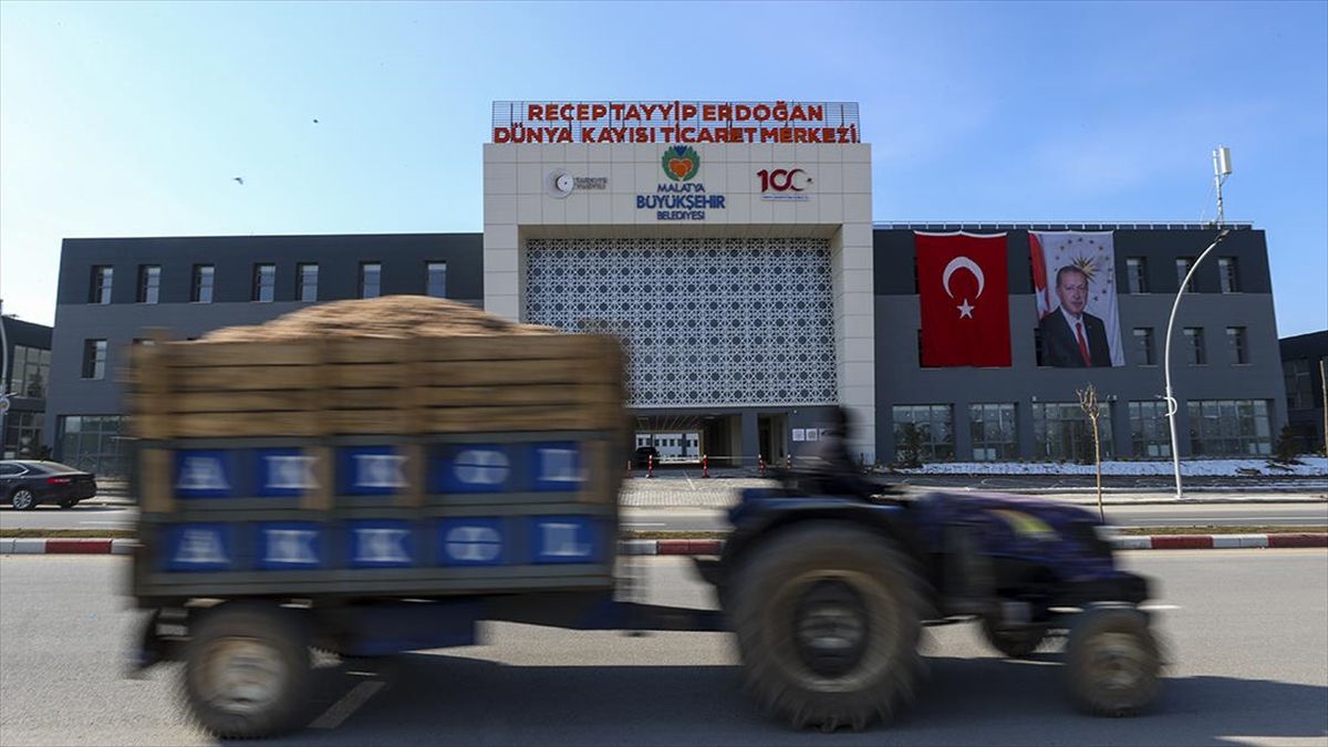 Malatya Kayısısının Dünyaya Açılan Yeni Kapısı Faaliyete Başlıyor