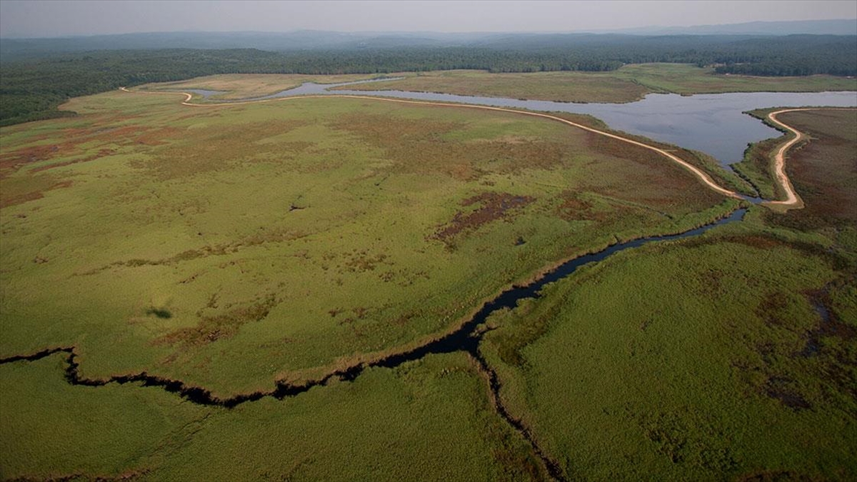 6 Bin 418 Sulak Alan Kayıt Altına Alındı