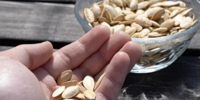 1 avuç kabak çekirdeği kabuğu çiğneyin, bakın ne oluyor…