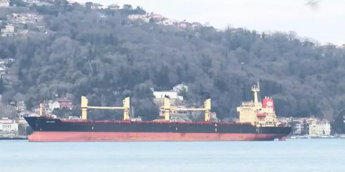 Kılavuz kaptan denize düşerek hayatını kaybetti