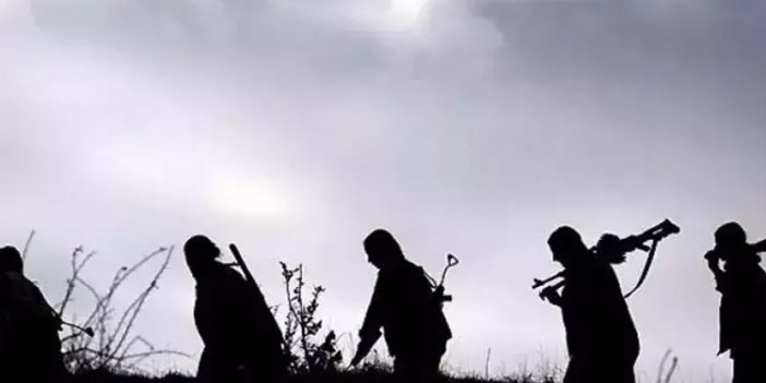 2 PKK’lı terörist teslim oldu