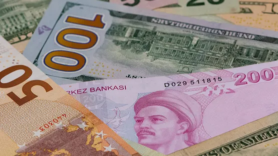 Fitch Ratings'ten gündem olacak analiz! Türkiye'ye dolar yağacak