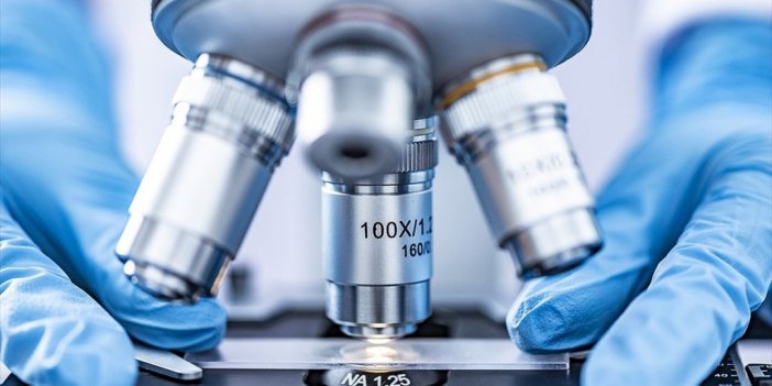 Araştırma: Tardigradlar, Oksijen Radikalleri Sayesinde Uzayda Hayatta Kaldıkları "fıçı Hali"ne Giriyor