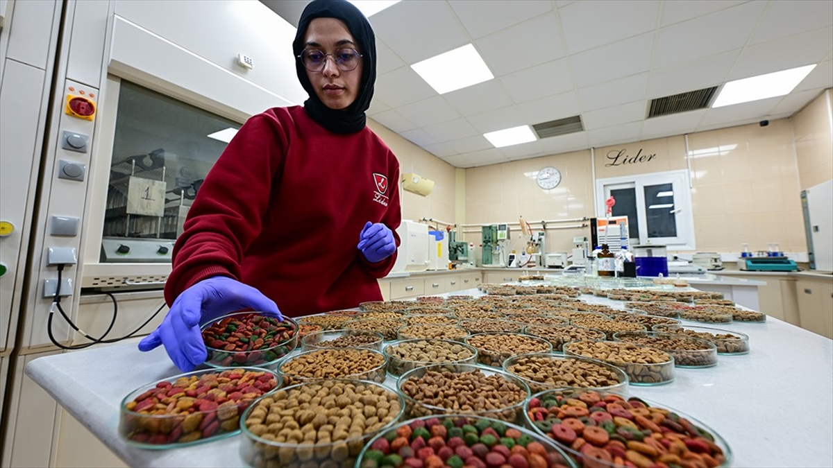 Kedi Köpek Mamasında Katlanan İhracat, Sektöre Yatırımları Artırdı
