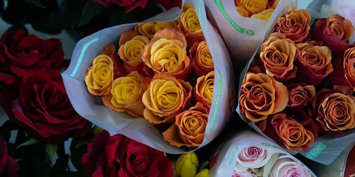 Çiçekçilerde 14 Şubat hazırlığı; tek gül fiyatı uçtu!