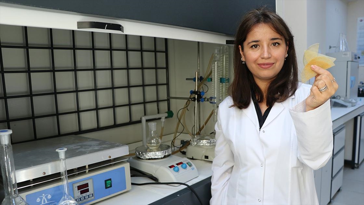 Bal Kabağı Kabuğundan Gıda Ve Doğa Dostu Ambalaj Üretildi