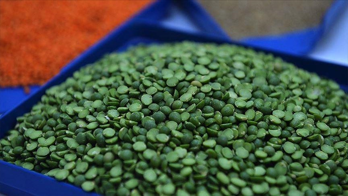 Yeşil Mercimek İthalatında Gümrük Vergisi Sıfırlandı