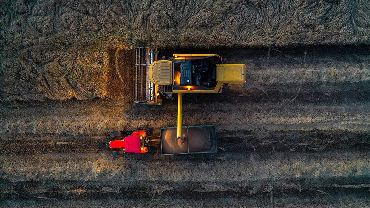 Tarım Ve Orman Bakanlığı 1500 Tarım İşçisi Alımına İlişkin Süreci Başlattı