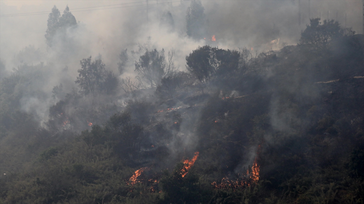 Şili'de Devam Eden Orman Yangınlarında Hayatını Kaybedenlerin Sayısı 132'ye Çıktı