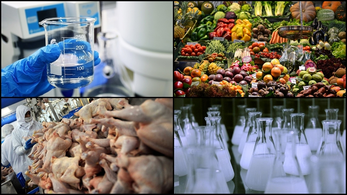 Rekabet Kurulu En Çok Kimya Ve Gıda Sektörlerindeki Soruşturmaları Cezayla Sonuçlandırdı