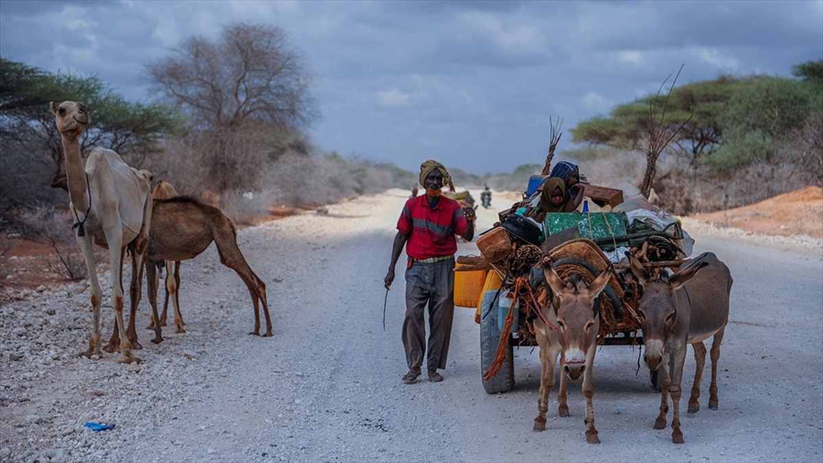 Rapor: Etiyopya'nın Kuzeyinde Savaş Bitmesine Rağmen Hayat Normale Dönemedi