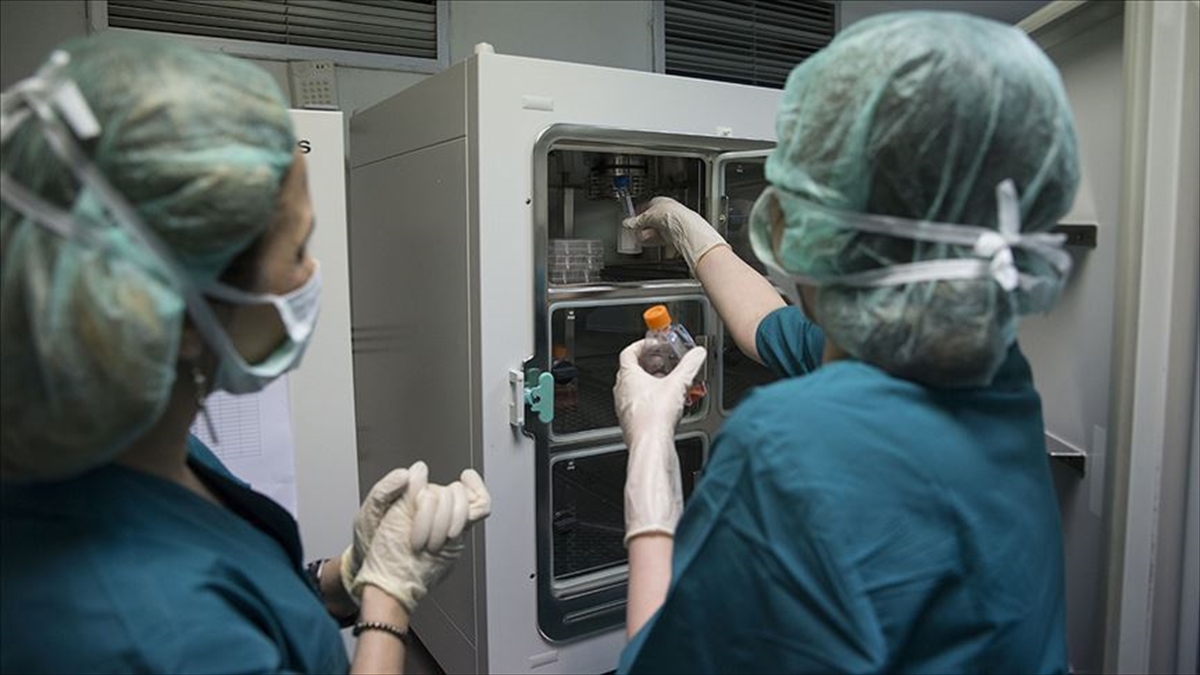 Abd'de Bir Mahkeme Dondurulmuş Embriyoların "çocuk" Sayılması Gerektiğine Hükmetti