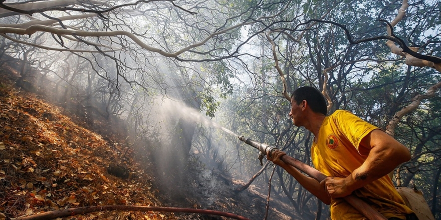 İzmir'deki Orman Yangınında Soğutma Çalışmaları Sürüyor