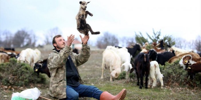 Yıldız Dağları'nın Eteklerinde Oğlak Ve Kuzu Sesleri Yankılanıyor