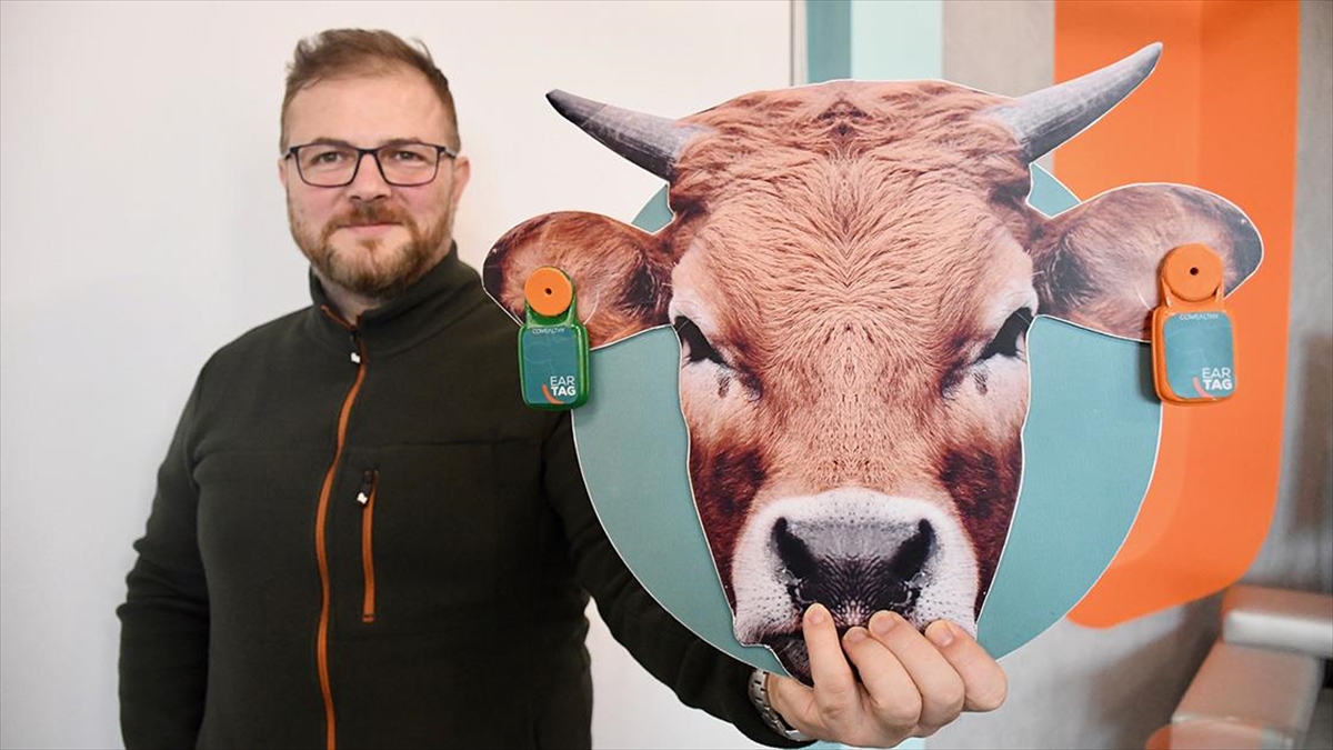 Bilişim Vadisi'nde Süt Ve Besi Hayvancılığı İçin Yapay Zeka Destekli Ürünler Geliştiriliyor