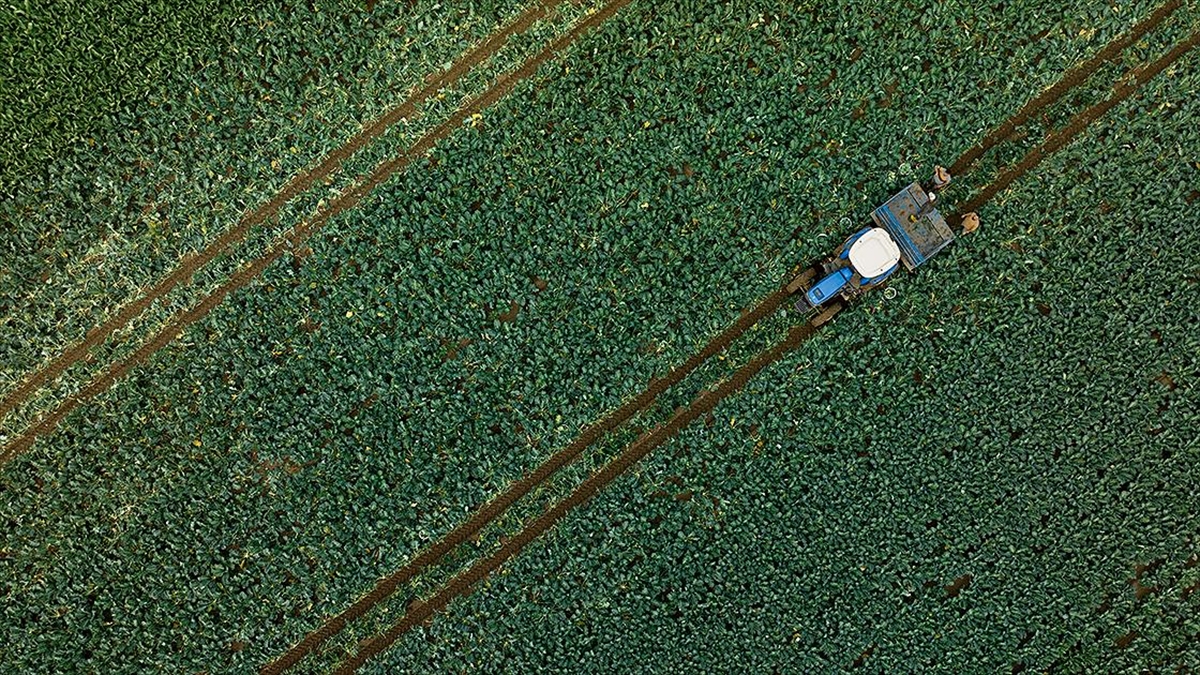 "sağlıklı Tarım Arazileri" İklim Değişikliğiyle Mücadelede Önemli Rol Oynuyor