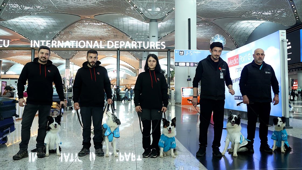 İstanbul Havalimanı'nda "terapi Köpekleri" Göreve Başladı