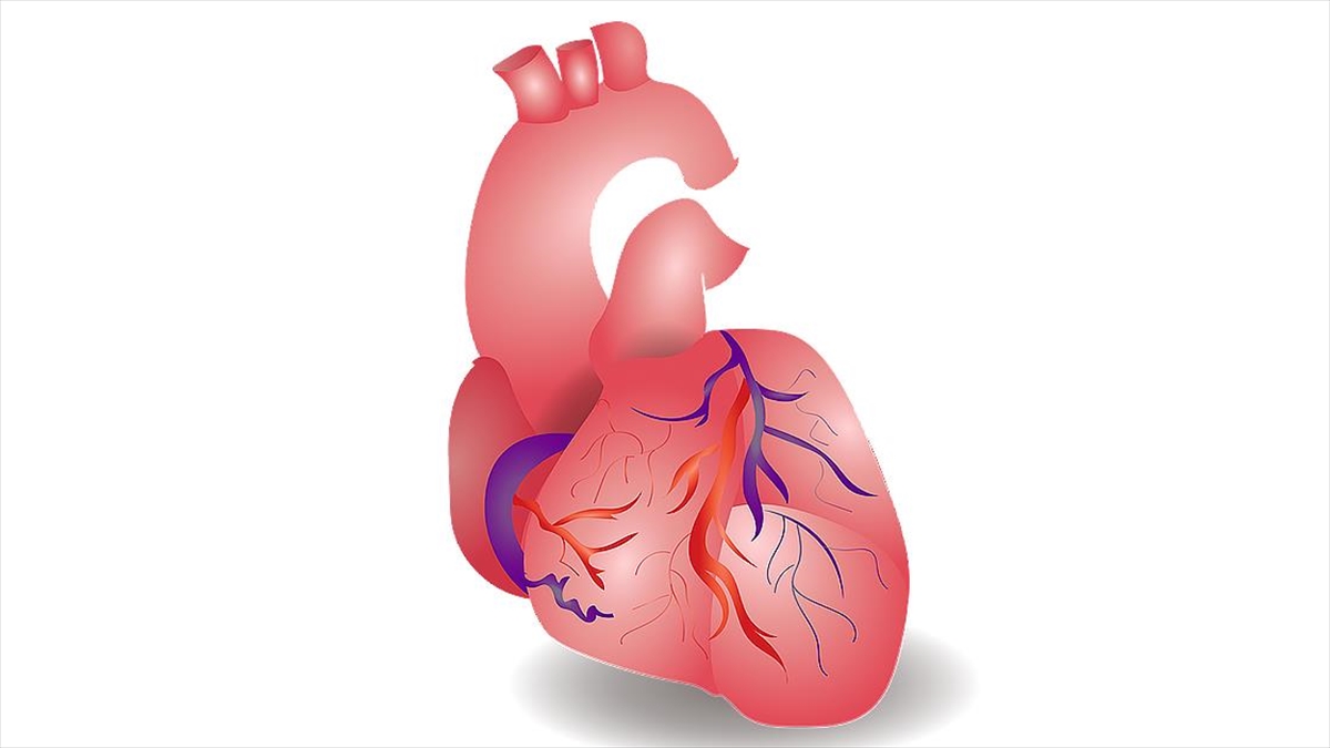 İnsan Vücudundaki Nanoplastikler İle Kalp Krizi Ve Felç Arasında Bağlantı Tespit Edildi