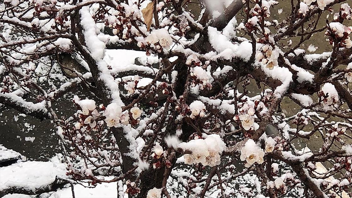 Yurdun Bazı Kesimleri İçin Zirai Don Uyarısı
