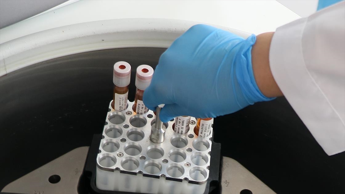 Türkiye'de 2023'te 5 Binden Fazla Kök Hücre Nakli Yapıldı