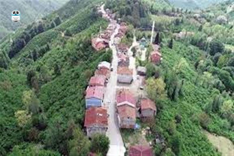 2 dakika arayla oruç açmak