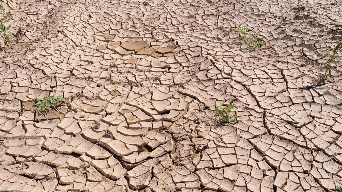 Küresel Isınma Sonucu Türkiye'nin İklimi Mısır'a Benzeyebilir