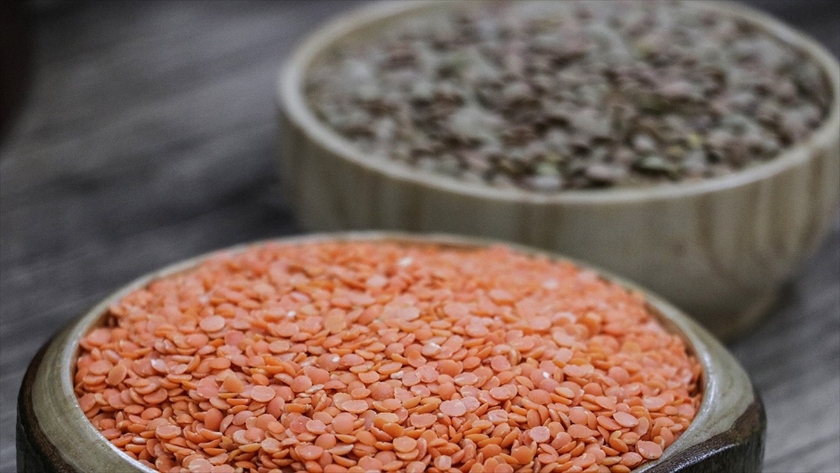 Güneydoğu'nun 2 Aylık Hububat İhracatı 560 Milyon Dolara Ulaştı