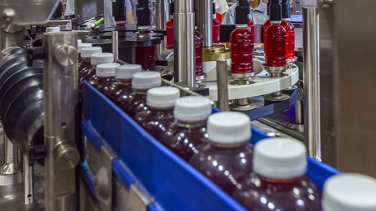 Meyve Suyu İhracatının Bu Yıl 500 Milyon Doları Aşması Hedefleniyor