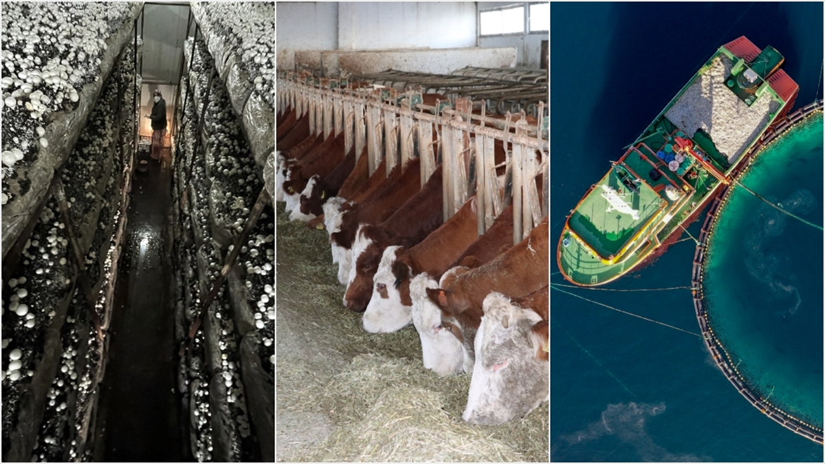 Iprad Iıı Programı 2024 Yılı Çağrı Takvimi Yayımlandı