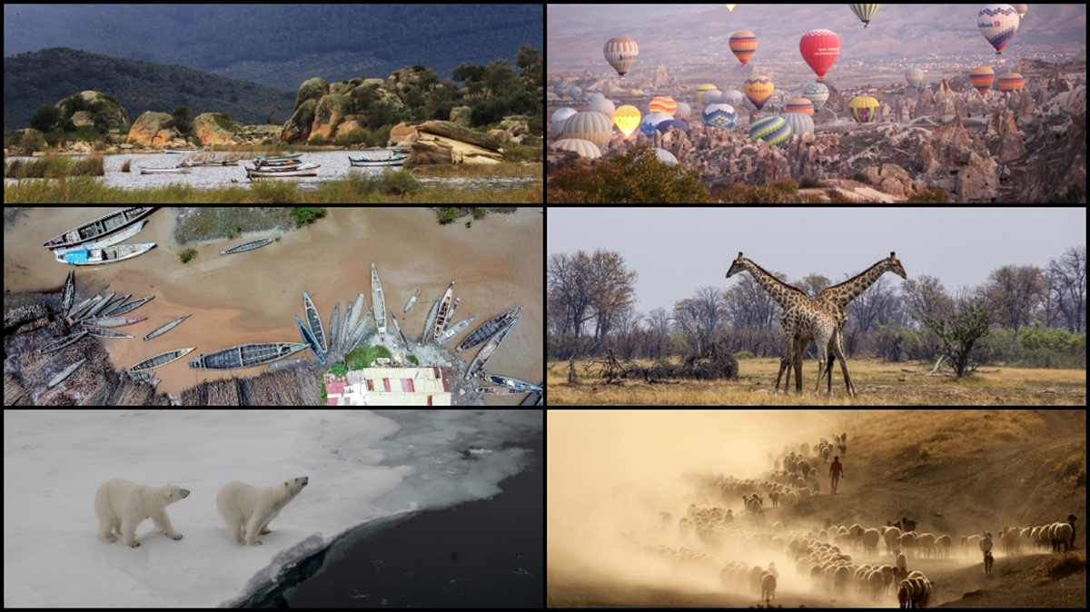 Wmo: Kayıtlara "en Sıcak Yıl" Olarak Geçen 2023'te Aşırı İklim Olaylarında Yeni Rekorlara Ulaşıldı