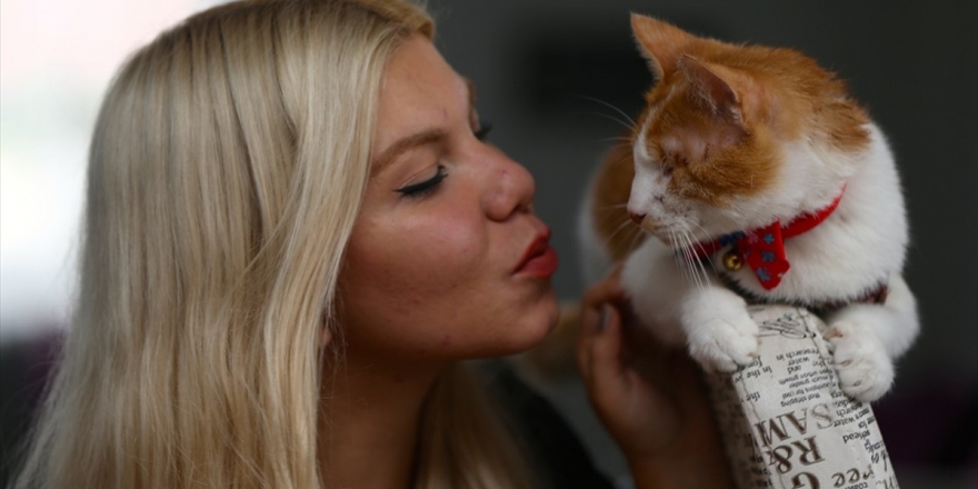 Çöpte Bulduğu Kediyi Hayata Bağladı