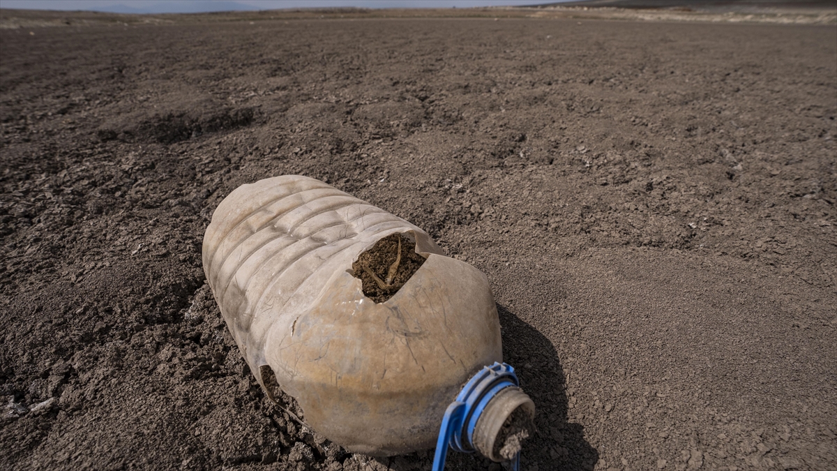 Tüba, Kuraklık Tehlikesine Dikkati Çekti