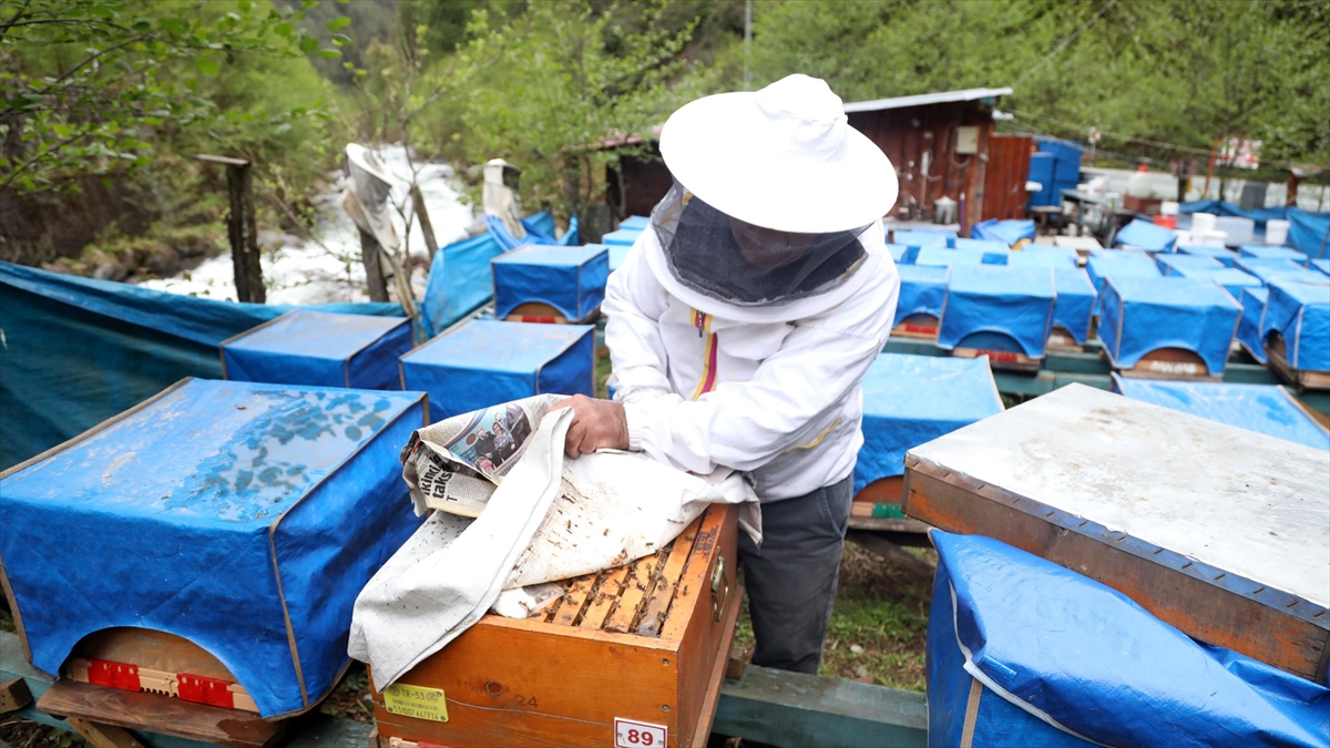 Mevsim Değişiklikleri Bal Üretimini Ve Arıcılığı Olumsuz Etkiliyor