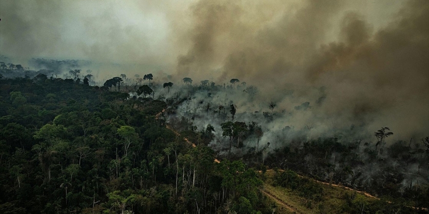 Dünyanın Akciğerleri Amazonlar Yanıyor